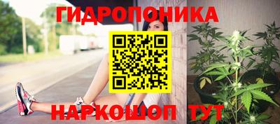 бошки Дмитров