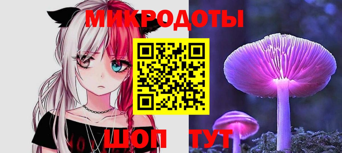 Псилоцибиновые грибы мицелий Павлово